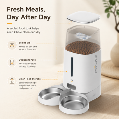 MiooHomie D01 4L Dry Food Automatic Feeder with Dual Bowls and Removable Stainless Steel Bowls